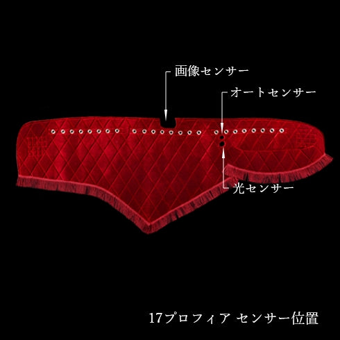 ダッシュマット 王朝 HINO 17プロフィア – キタワキ｜トラック内装